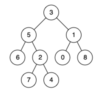 Sample Tree