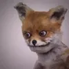 Hell Yeah Wow GIF by Adele Morse - Stoned Fox Official via www.adelemorse.com