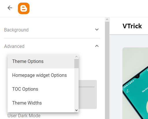 menu Advanced > Theme Option.