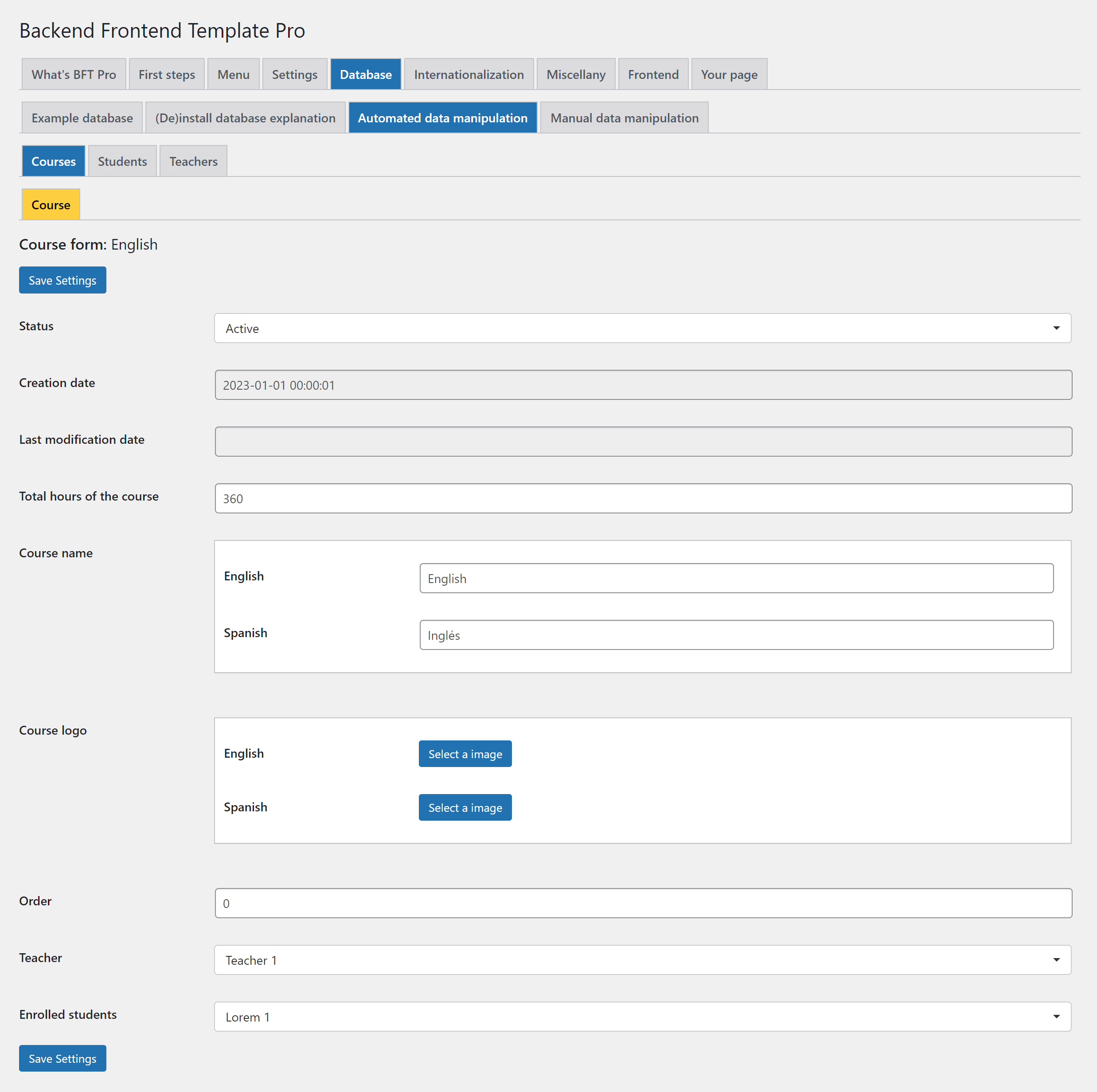 Backend Frontend Template Pro: example of an automated form