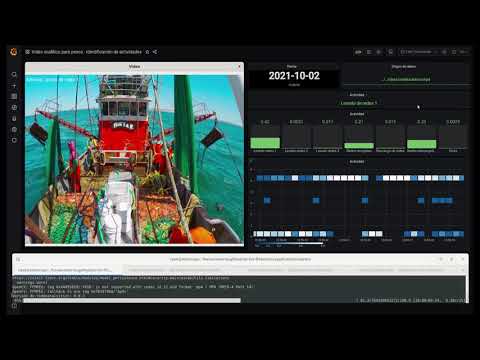 Videoanalytics for fisheries