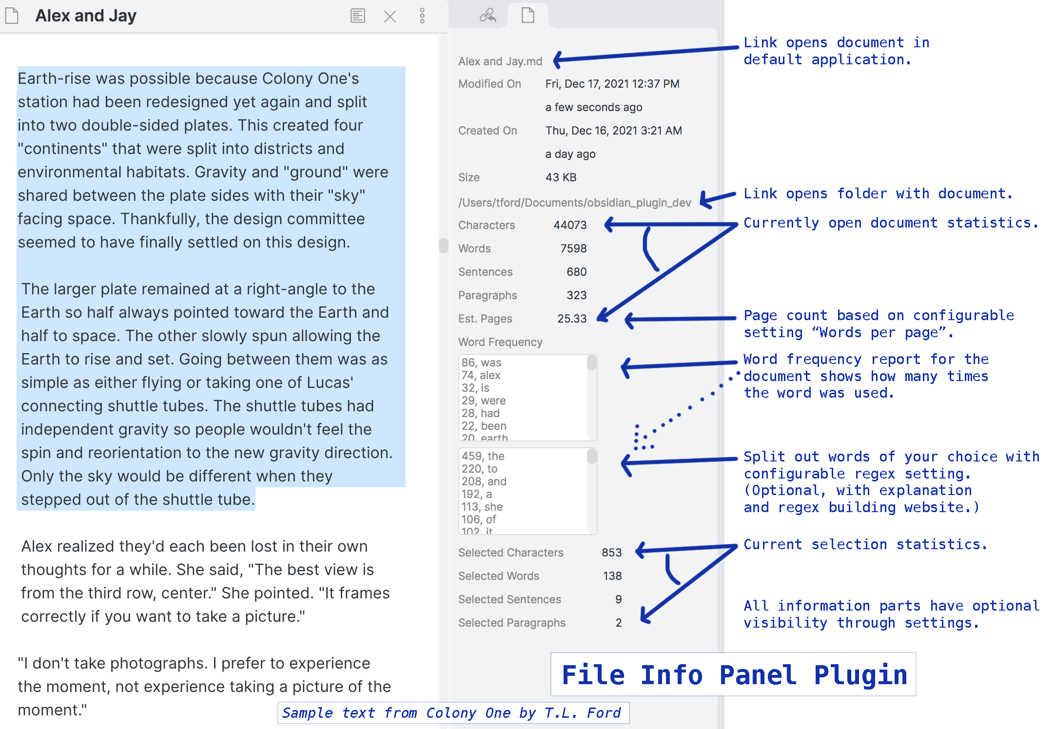 File Info Panel Info view