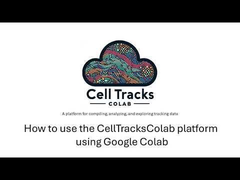 CellTracksColab in Goolgle drive