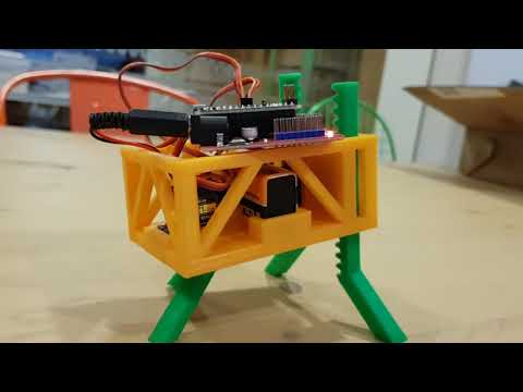 Video with his first steps (prototype)