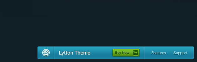 Pixel Union's theme marketing widget