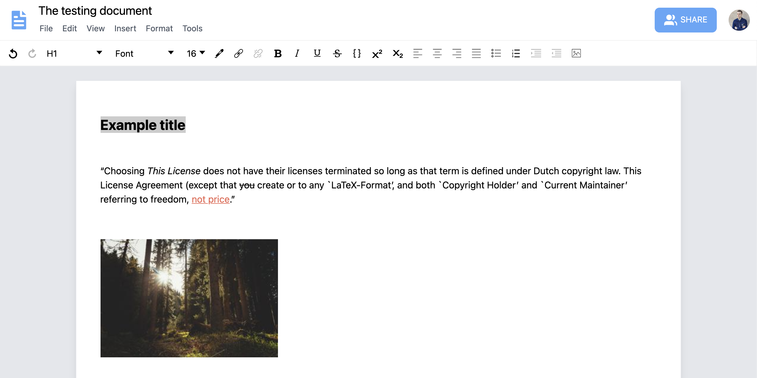 Screenshot of document editing