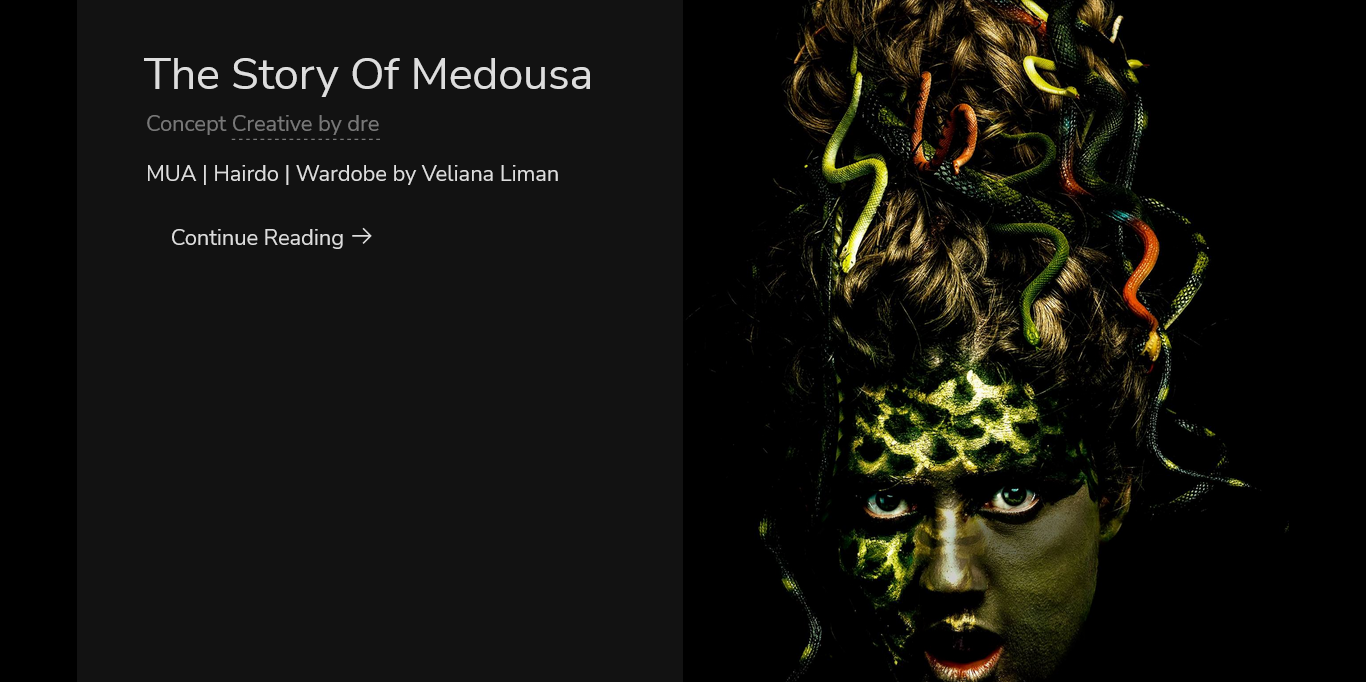 the end of medousa website template themes