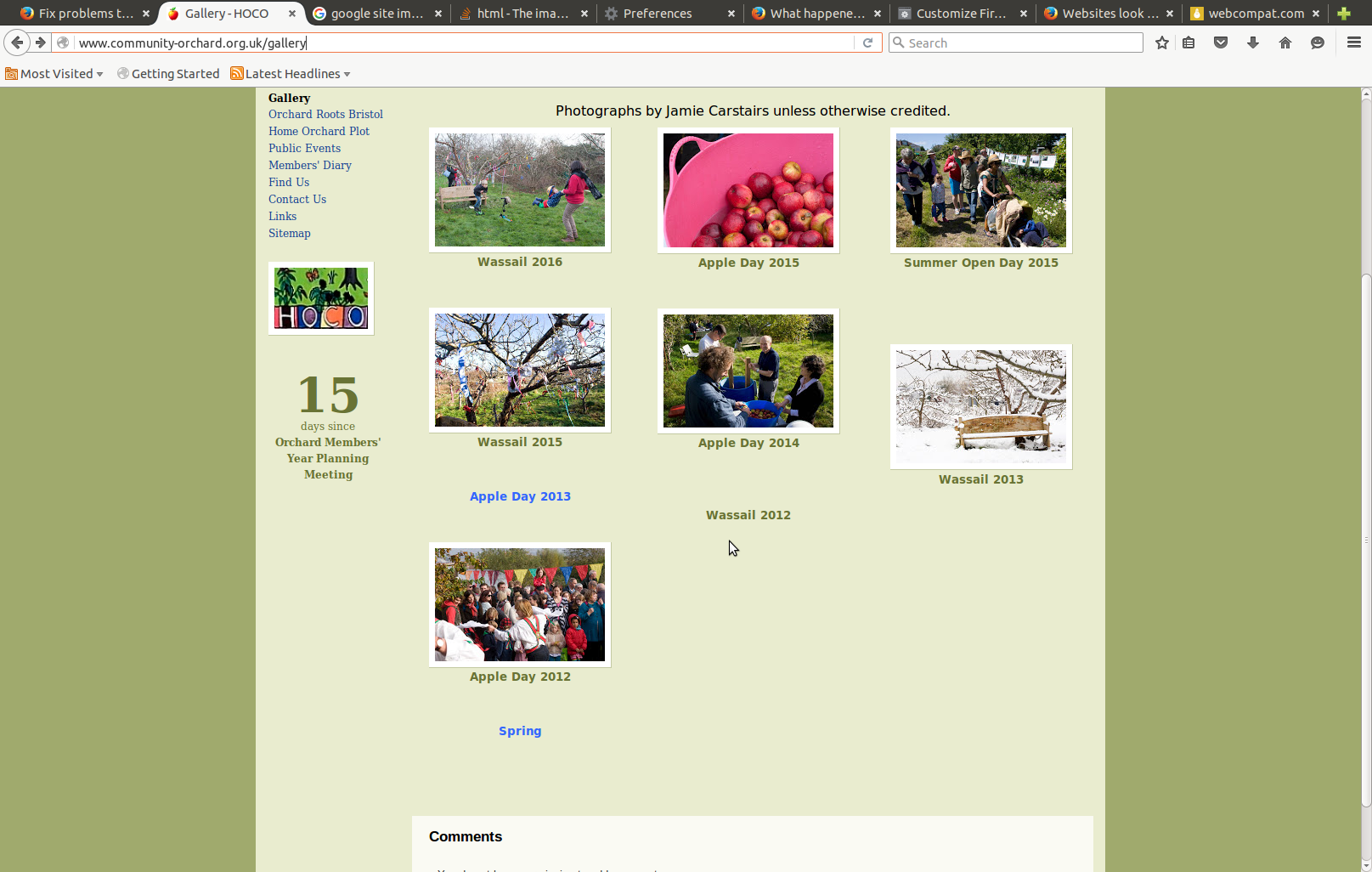 Screenshot of the site issue