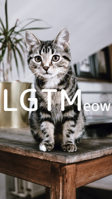 LGTMeow