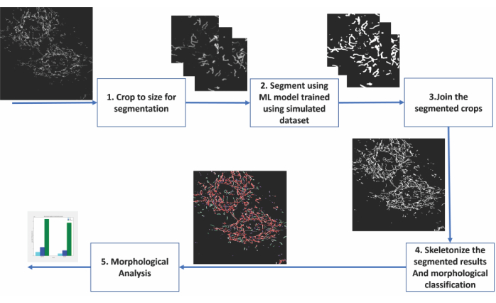 Figure 2 in paper