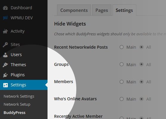 BuddyPress Hide Widgets Network Menu