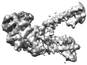 density-map