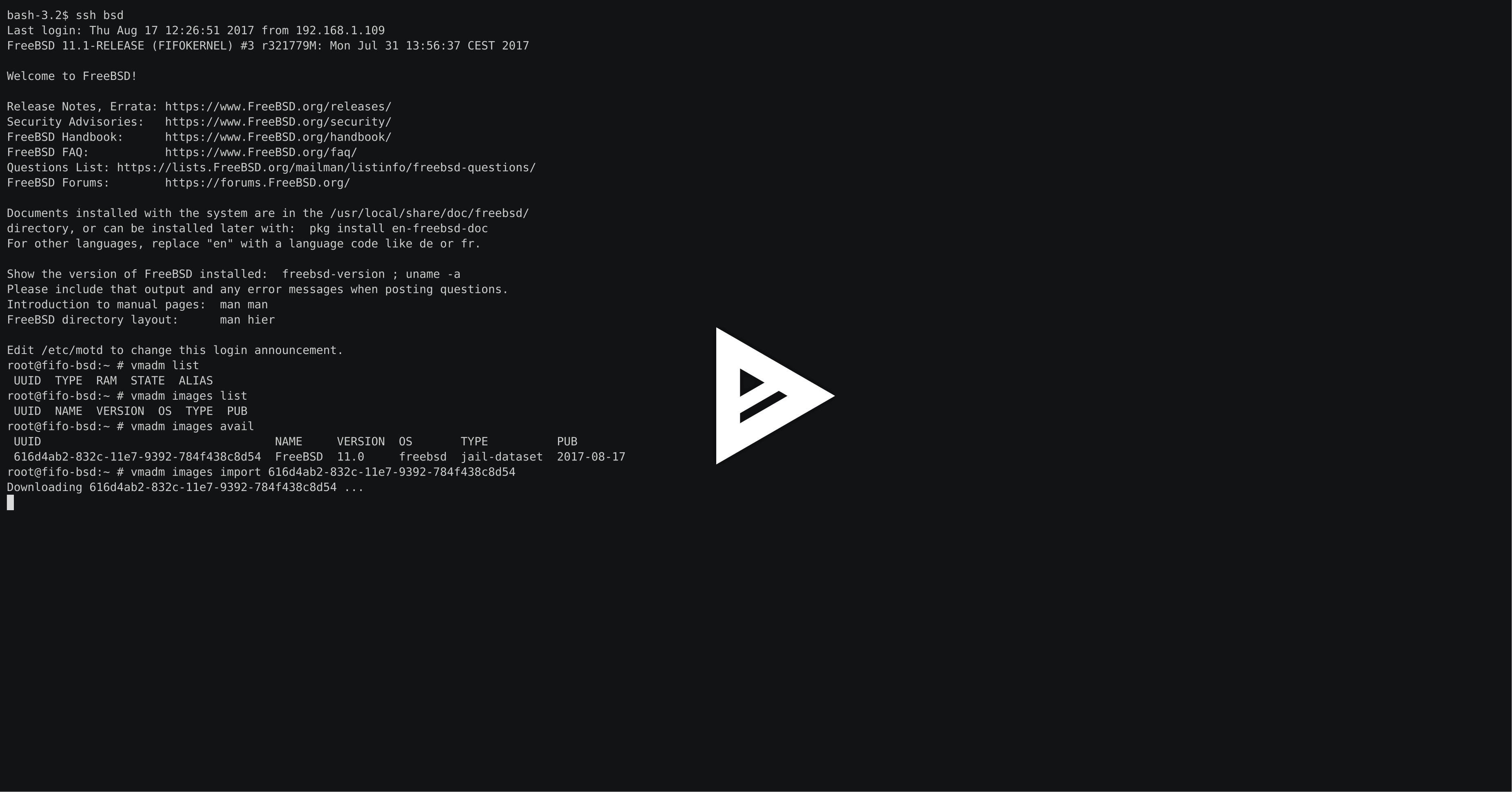 asciicast