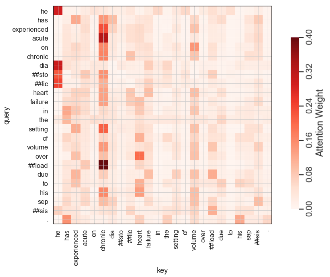 ClinicalBERT Self-Attention Map. The darker colors stand for greater weights.