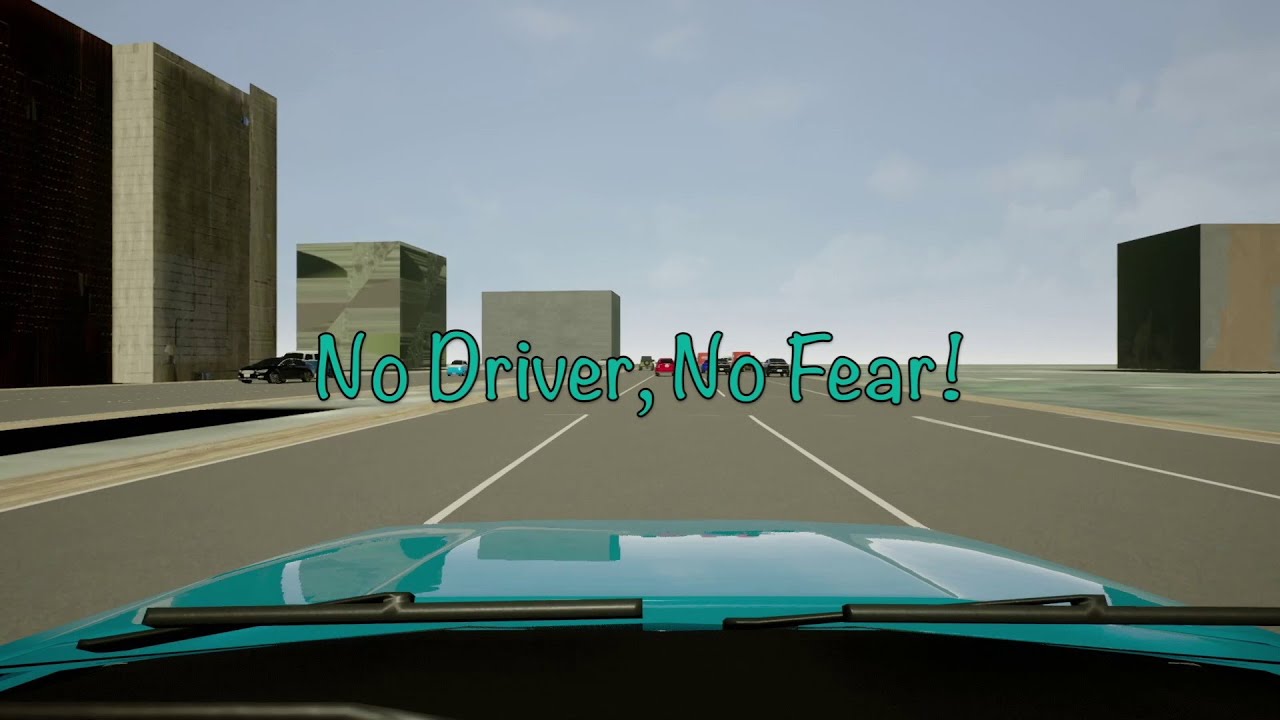 Watch the driving video