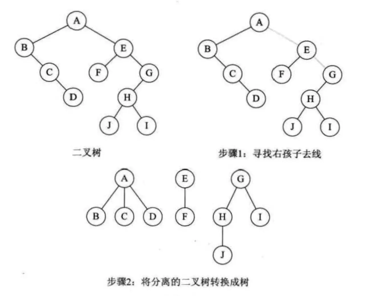 二叉树 -> 森林