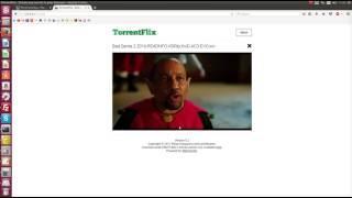 Stream any type of video torrent in the browser