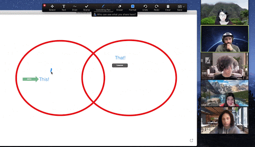 Zoom - Vanishing Pen Annotation