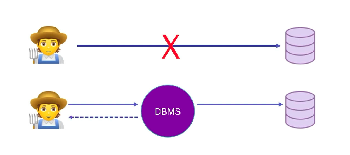 DBMS