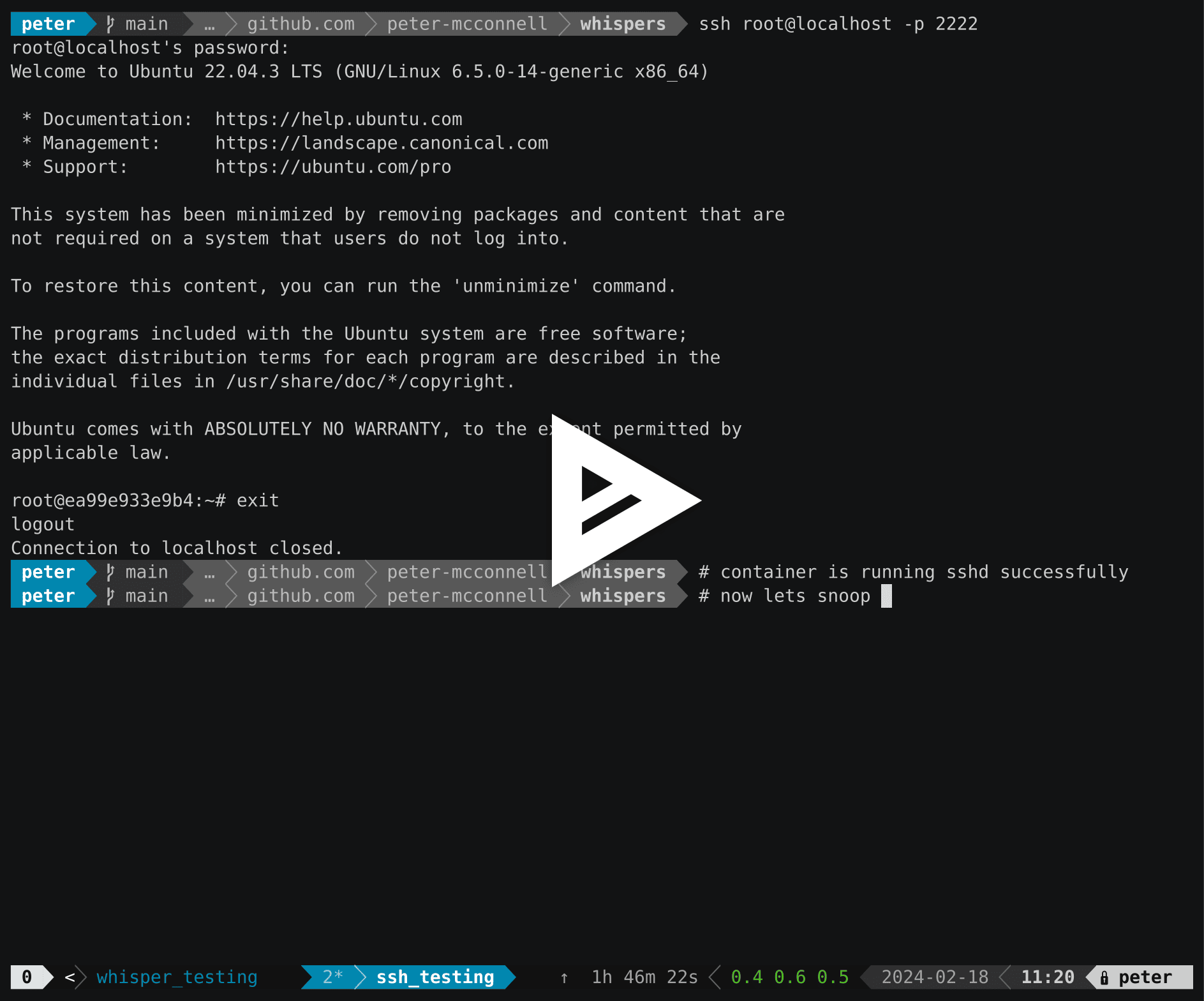 asciicast