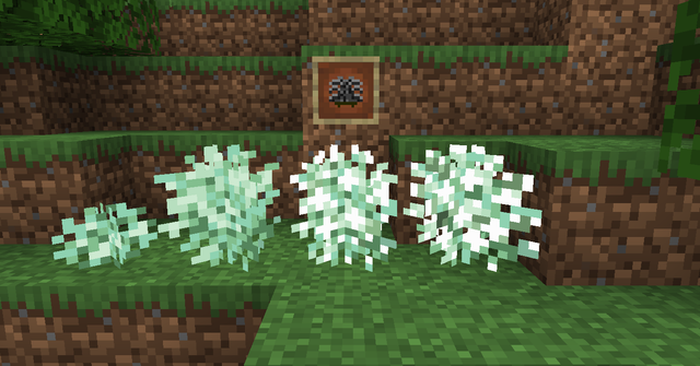 White Hydrangea Bush