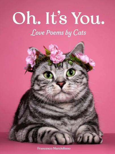 oh-its-you-love-poems-by-cats-book-1