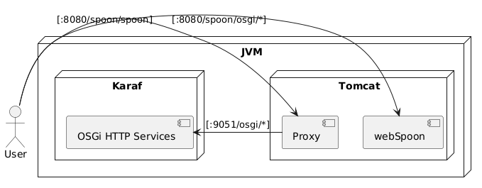 Reverse Proxy