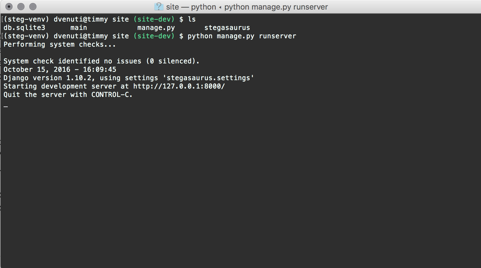 Screenshot of runserver