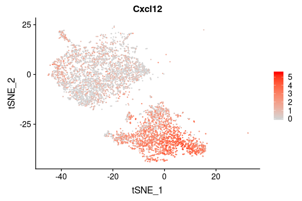 Gene expression Plot