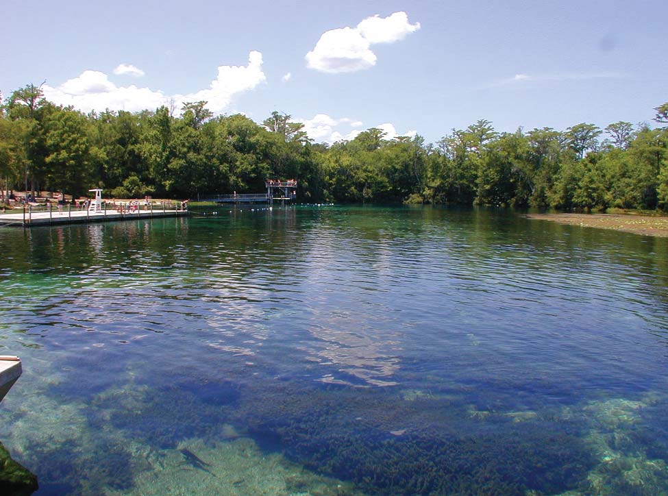 Wakulla Spring
