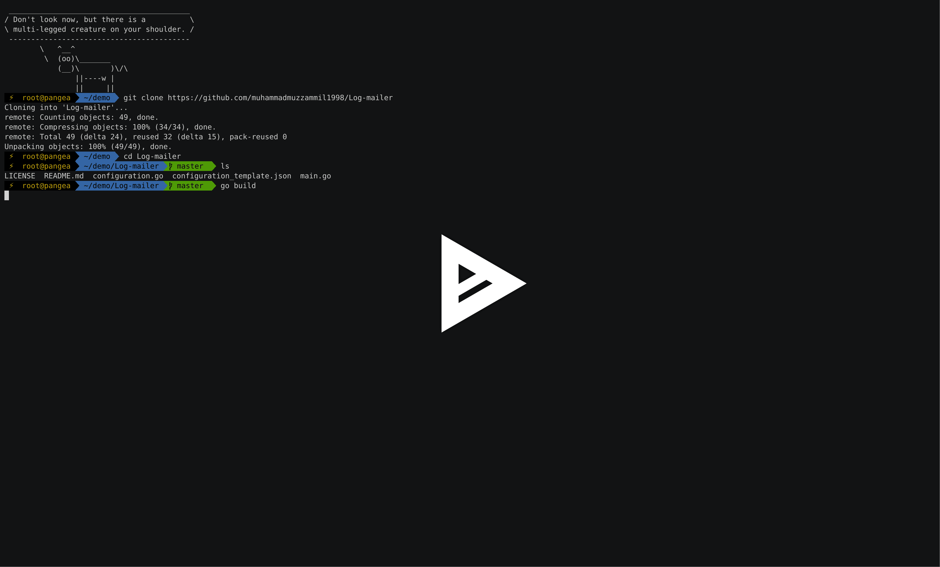 asciicast