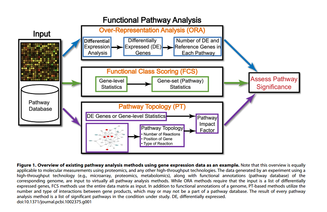 pathway.png