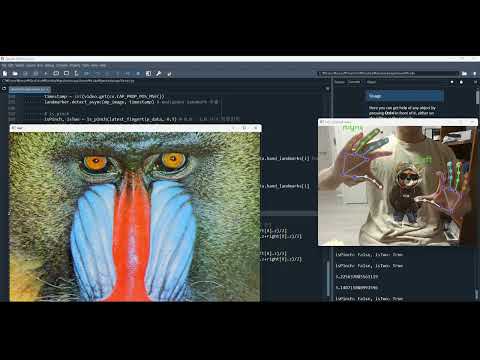 demoVideo