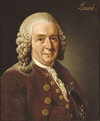 linnaeus