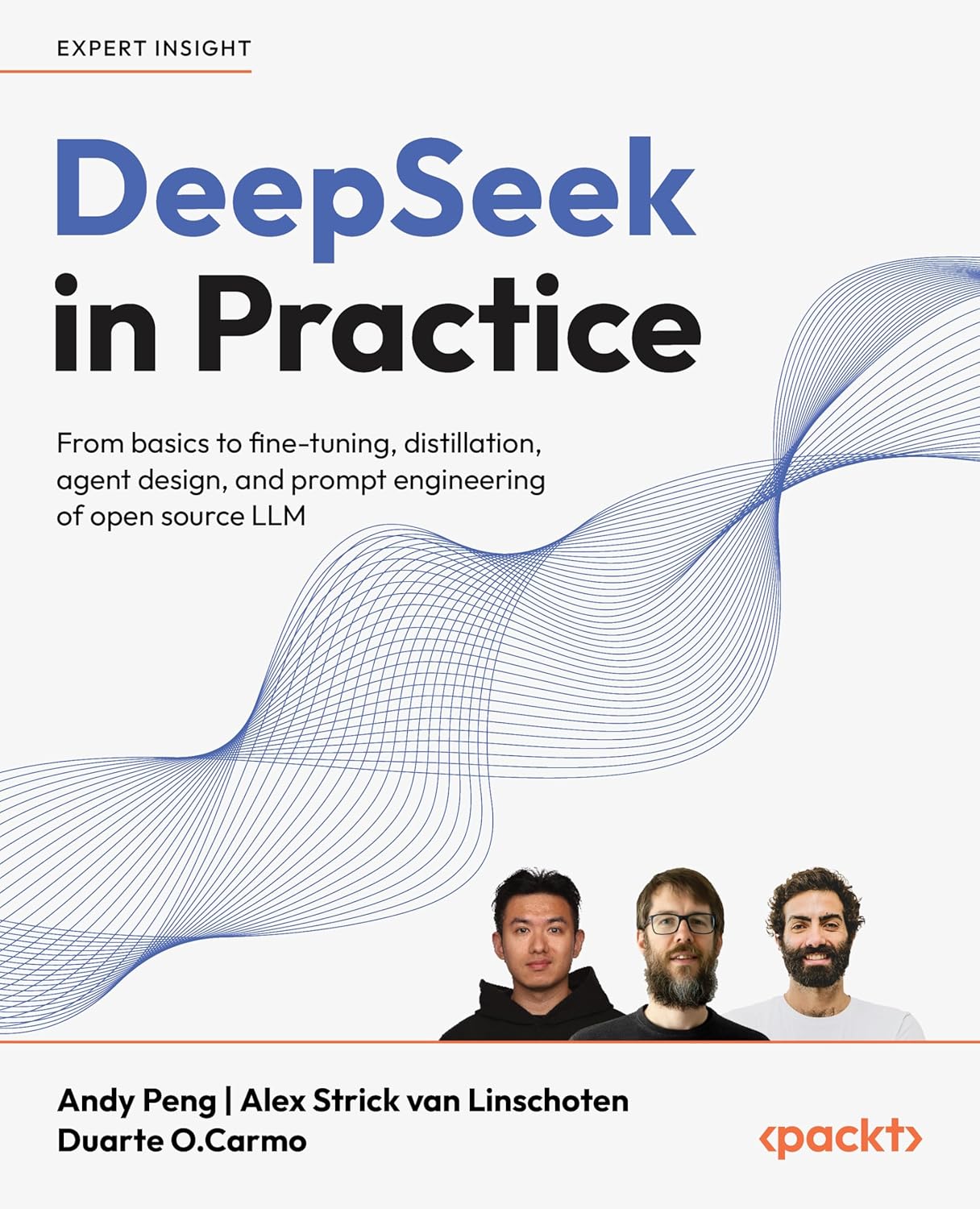 DeepSeek in Practice, First Edition