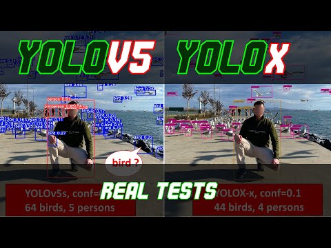 Yolo_v5 vs YoloX