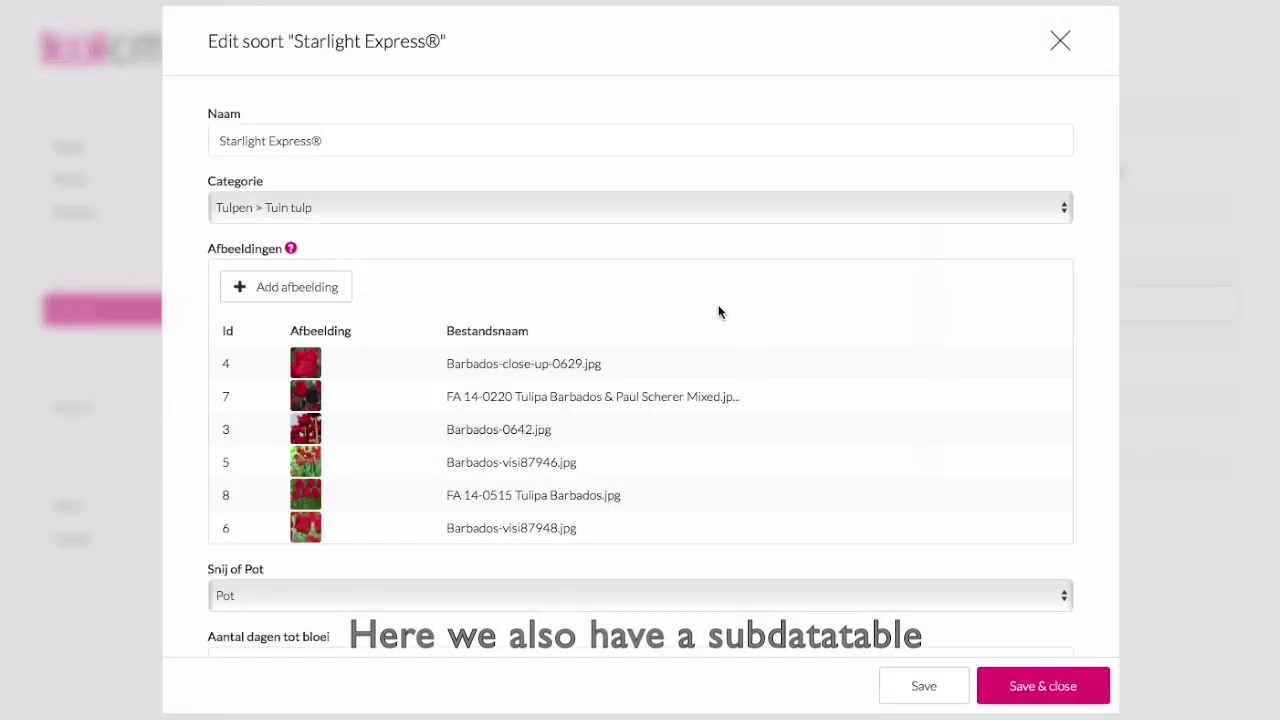 KikCMS UX overview