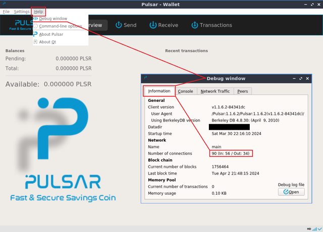 How to know if my Pulsar wallet allows incoming connections on port 5995