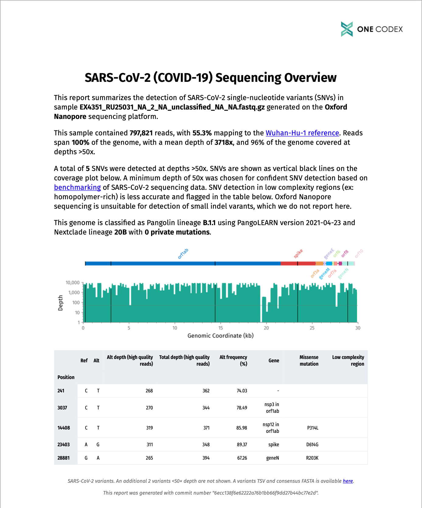 Example report