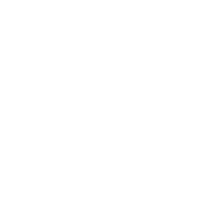 Logo-next