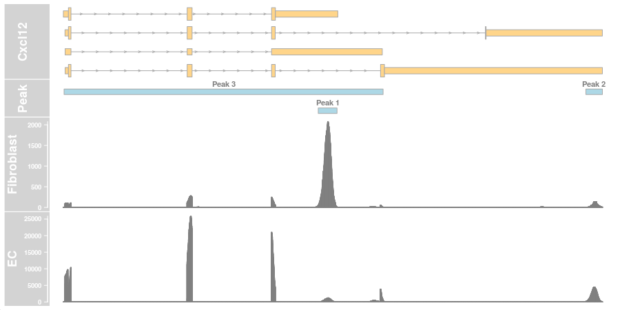 Coverage Plot Annotated