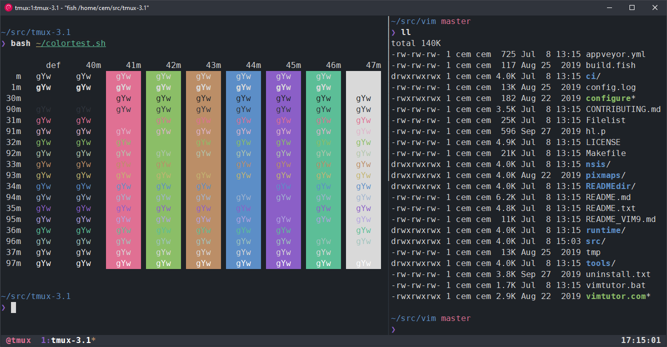 terminal theme