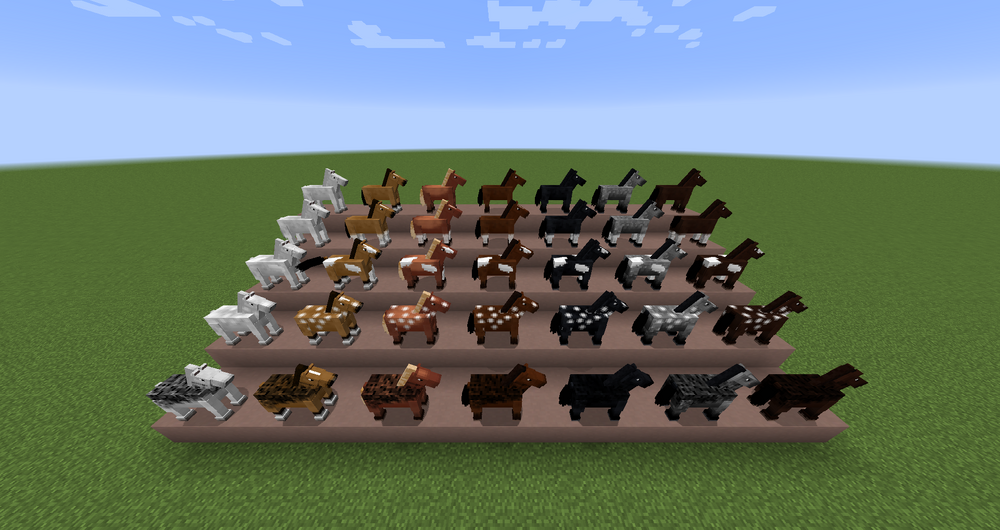 all horse variants