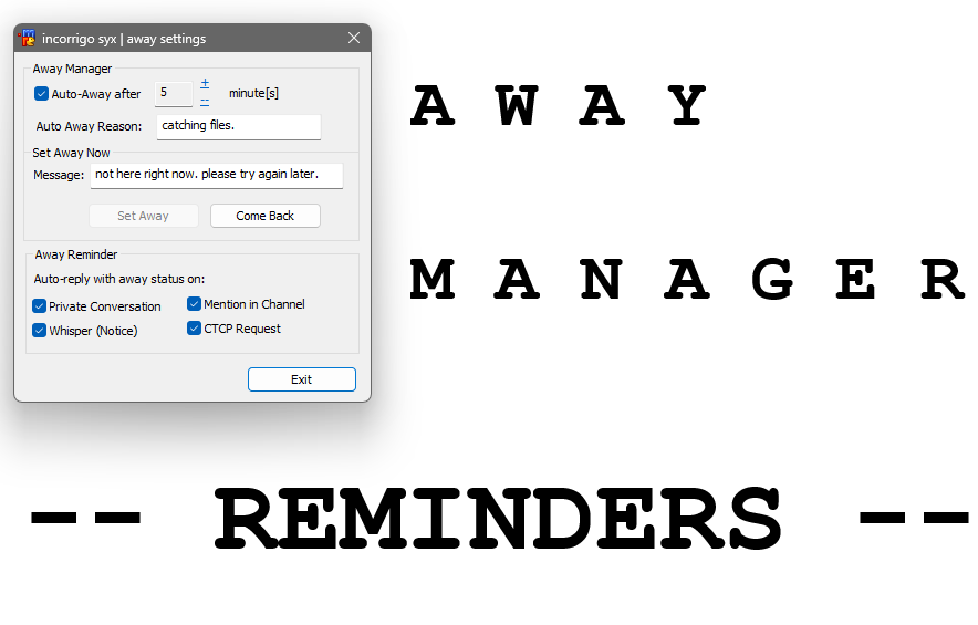 Away manager control panel console with convenient reminders that will not replace server away messages