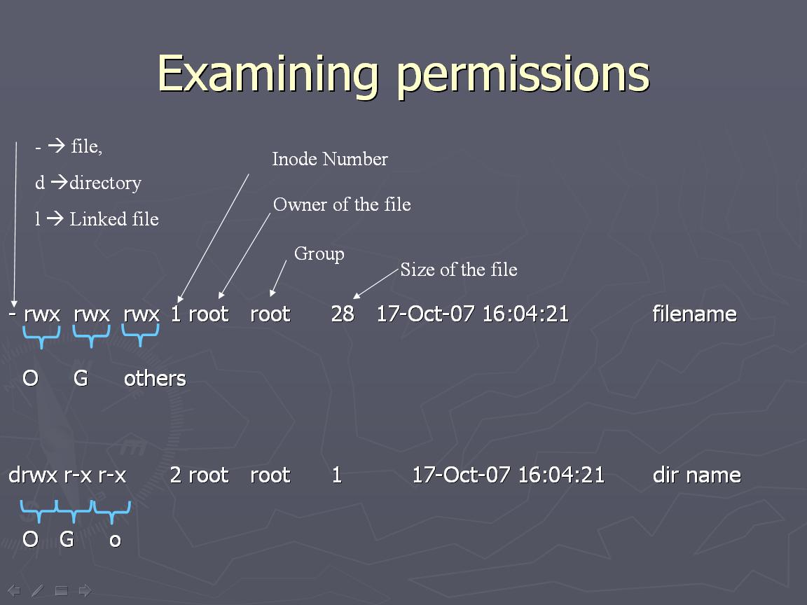 File permissions