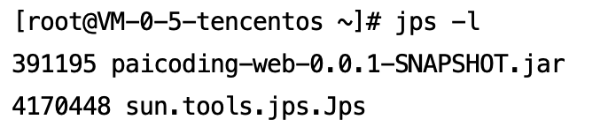 二哥的 Java 进阶之路：jps 查看技术派的进程 ID