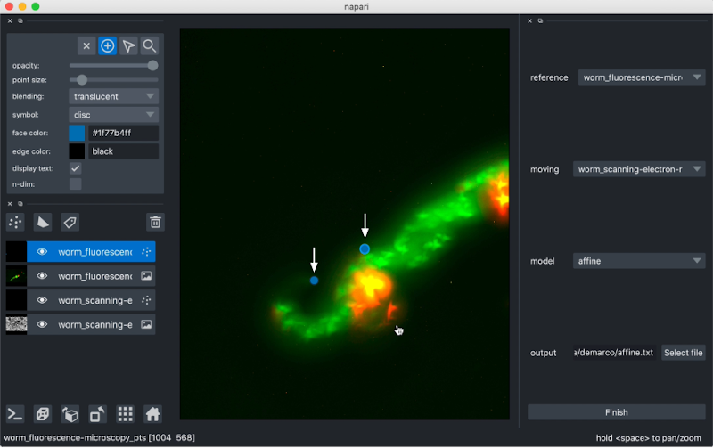 Adding reference points to layer