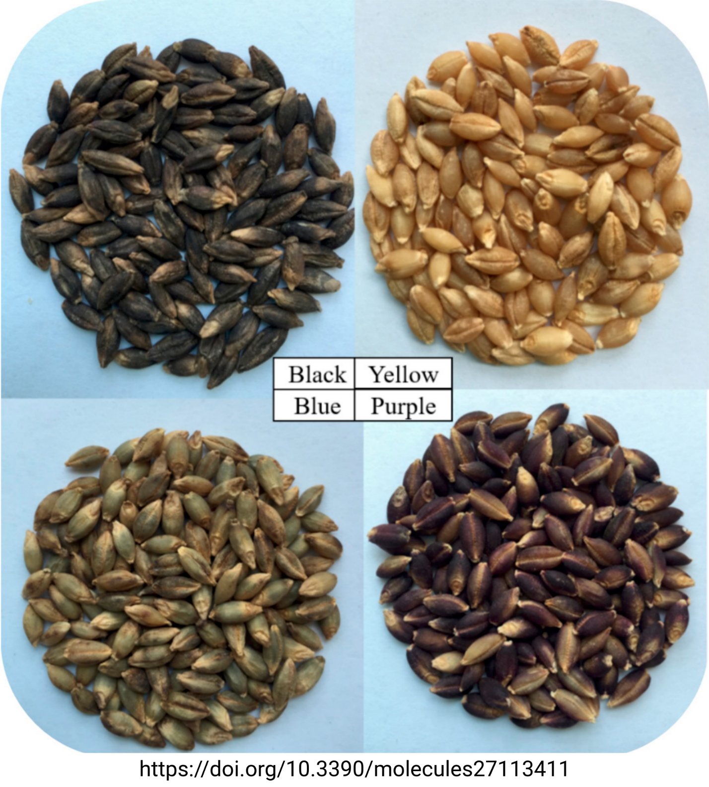 Highland barley cultivars are rich anthocyanin sources (Tweet #68)