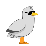 seagull