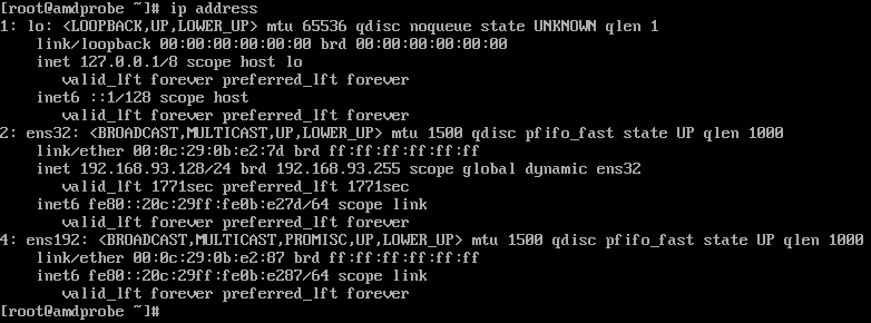 ip address with dhcp